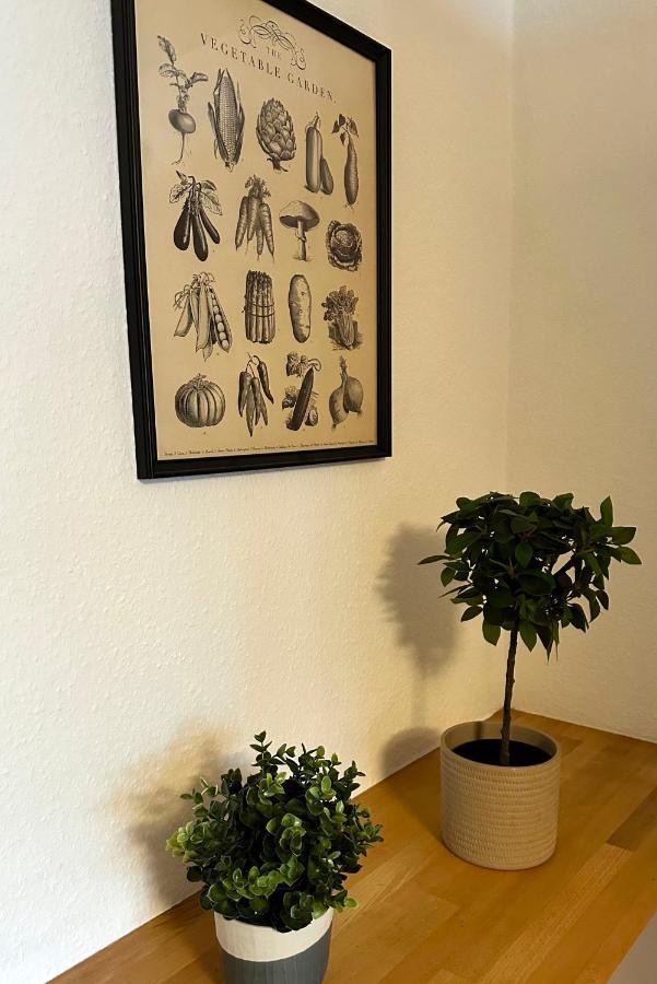 City-Apartment In Krefeld - Beuys Apartments - Krefeld Kültér fotó